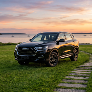 Autos usados baratos de China, SUV usados de gasolina 2024 Haval Big Dog 1.5T 2WD Border <span class=keywords><strong>Collie</strong></span>, Haval H6, M6 disponibles para venta al por mayor. - Product Image 1