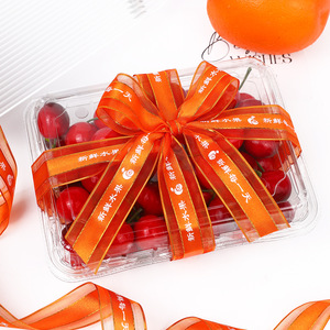 Nine-Colored Ribbon Satin Ribbon Spool Printed With Fresh Fruit Daily Text For Gift Wrapping And Decoration - Product Image 5