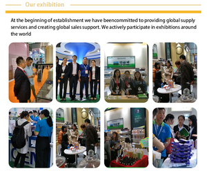 <span class=keywords><strong>Huile</strong></span> essentielle de Ginseng 100% pure, fabricant d'usine de chine, prix de gros - Product Image 6