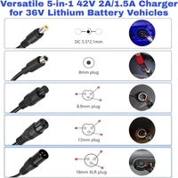 Chargeur Universel 42V 2A 5 Fiches pour Batterie au Lithium 36V Compatible avec Vélo Électrique Trottinette Rad Power Bike