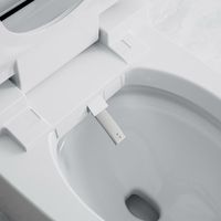 Wealwell Sanitaire de Luxe WC Bidet Intelligent Économe en Énergie avec Télécommande, Cuvette Allongée, Siège Chauffant, Fixation au Sol