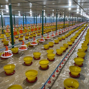 Comedero y Bebedero Automático para Aves de Corral, Cubo de Alimentación Reforzado de Plástico, Cubo de Agua para Pollos - Product Image 4