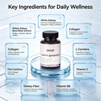 Gummies Beauté pour Femmes – Extraits Végétaux, Peptides de Collagène, Soutien Immunitaire – Complément Alimentaire OEM/ODM Marque Privée Zhongzhongrui