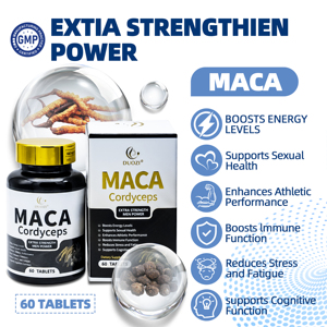 OEM Best Product Maca Root Cordyceps Extract Strength Supports Body Health Maca Cordyceps <b>Tablets</b> - Product Image 4