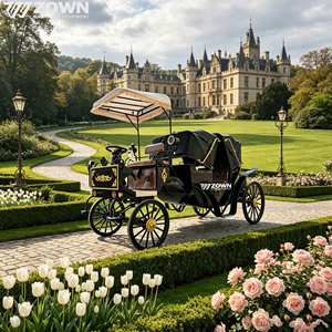 Charrette de tourisme électrique personnalisable avec éclairage LED pour parcs d'attractions, lieux de mariage et location commerciale - Product Image 1