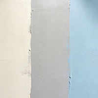 Peinture murale extérieure au latex résistante au soleil, aux intempéries, à la moisissure et à l'humidité pour la rénovation des vieilles maisons