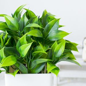 Piante Artificiali <span class=keywords><strong>da</strong></span> Scrivania, Foglie di Teak, Erba in Vaso, Decorazione per Interni ed Esterni, <span class=keywords><strong>Bonsai</strong></span> in Plastica - Product Image 5