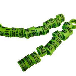12MM <span class=keywords><strong>paloma</strong></span> <span class=keywords><strong>mensajera</strong></span> de plástico de anillo de cerrado pierna - Product Image 3