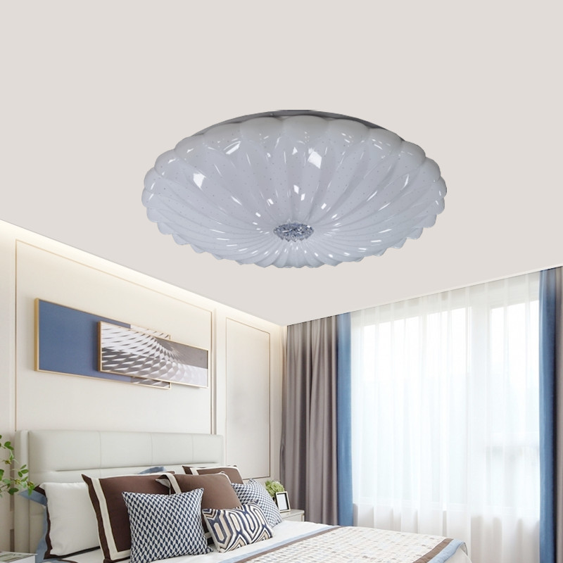 Factory Direct Iron Acrylic Ceiling Lamp Modern Simple Living Room Bedroom Study Restaurant LED Remote Control IP33 2-Year