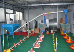 Nhà Máy Giá hoàn toàn tự động động vật feeders và người uống gia cầm ăn dòng cho Gà Thịt gà trang trại nhà thiết bị - Product Image 5