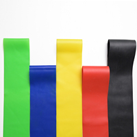 Bandas de Resistencia TPE para Fisioterapia con 5 Niveles Progresivos, Círculo de Cadera para Rehabilitación, Recuperación de Fuerza y Entrenamiento en Casa