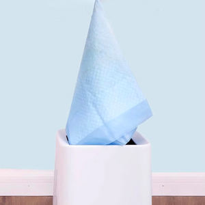 Горячая распродажа: Водонепроницаемые одноразовые впитывающие пеленки для щенков 60x60 и 60x90, быстросохнущие, оптом для собак, товары для животных - Product Image 1