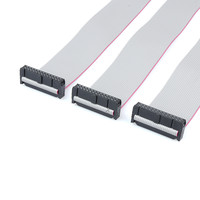 Paso personalizado 2,54mm Pin conector Cable hembra IDC Cable 2x10 20Pin 2,54mm macho hembra Cable plano