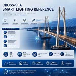 Iluminación LED Inteligente para Calles con PLC-LoRa, Adaptación para Cables AC Existentes, Puente LoRa a Través de Transformadores, IP66, Reacondicionamiento Mínimo - Product Image 6