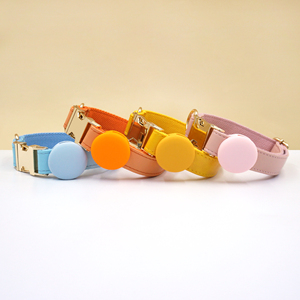 La mayoría de los artículos de tendencia en este momento suministros para mascotas Collar personalizado <span class=keywords><strong>airtag</strong></span> holder hebillas doradas collar de perro collares de perro de alta calidad - Product Image 1