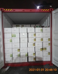 Naturale pianta organica nutrizione 20 litro <span class=keywords><strong>per</strong></span> il grano di riso prodotti <span class=keywords><strong>per</strong></span> la fertilità verde composto Npk fertilizzante - Product Image 4