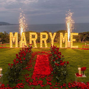 Ampoule géante LED 3D personnalisée 2 pieds 4 pieds Marry Me Love Marquee Letter Lights Stand pour anniversaire mariage fête fournitures - Product Image 3