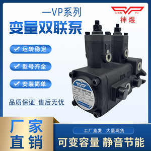 SHENYU ปั๊มใบพัด VP40-40 VP20-20, ปั๊มไฮดรอลิกหัวคู่ FA3 VP30-30การติดตั้งแบบเกลียว2ขั้นตอนการไหลของตัวแปร - Product Image 5