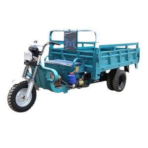 Tricycle électrique de cargaison de 60v 1000W motorisé vélo de tourisme à 3 roues adultes certifié CEE/DOT vente de tricycle électrique à corps ouvert - Product Image 3