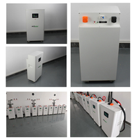 Paket Baterai Siap Pakai Poland Stock 51.2V 16kWh 314Ah 1P16S dengan BMS Terintegrasi, Garansi 10 Tahun untuk Penyimpanan Rumah