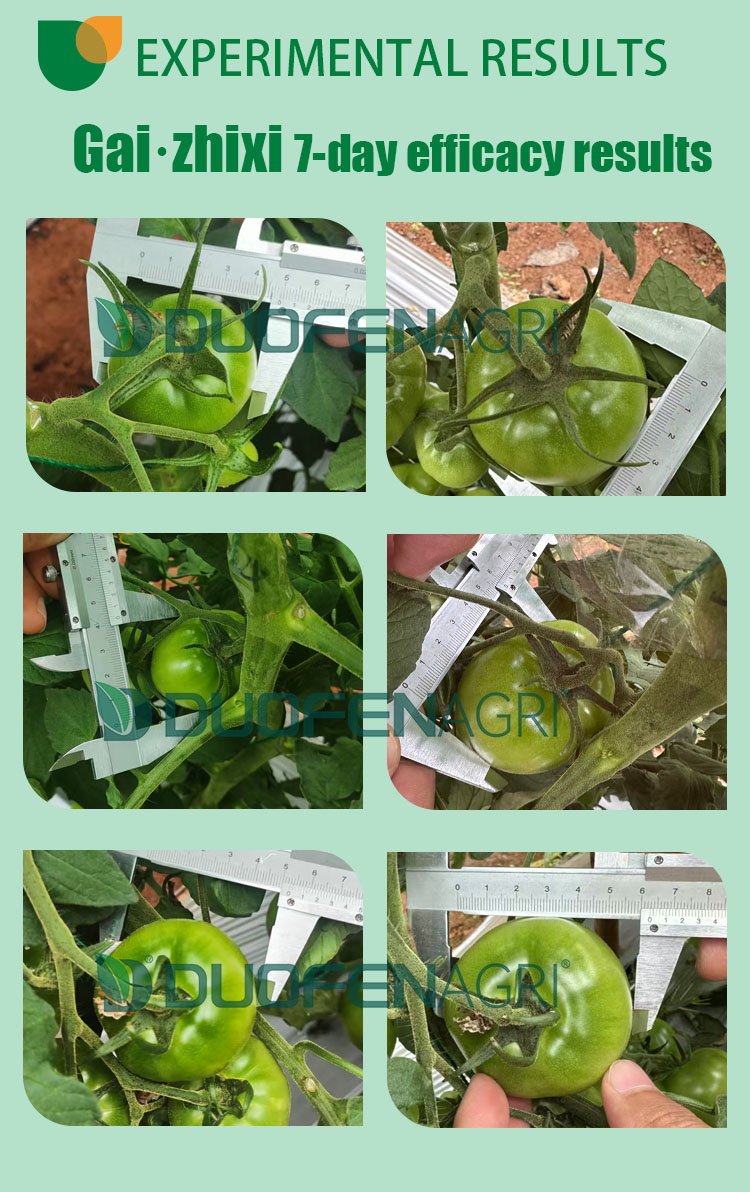 Wholesale Liquid Chelated Calcium Mg B Zn Foliar Fertilizer image 2