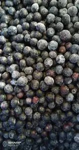 Bevroren blueberry