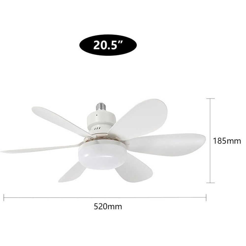 20.5 inch
