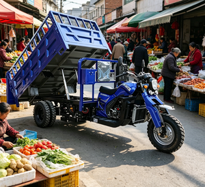 Tricycle à essence à trois roues pour le commerce extérieur, véhicule agricole spécial à trois bungees pour le transport de marchandises et la livraison à domicile - Product Image 4