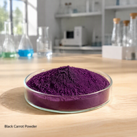 Poudre de Carotte Noire Naturelle 100% Soluble dans l'Eau de Qualité Alimentaire 10:1, Poudre Fine pour Boulangerie, Crème Glacée, Colorant Étiquette Blanche
