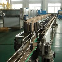 Sistema transportador de cadena de listones ajustable de acero inoxidable para descarga de botellas en líneas de codificación de fecha de botellas PET