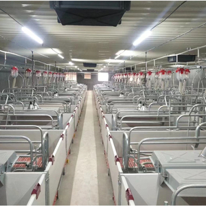 Cage de mise bas de haute qualité à prix d'usine – Équipement d'élevage porcin pour optimiser le bien-être animal et l'efficacité de la ferme - Product Image 2