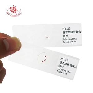 Preparación de Portaobjetos de Microscopio para Parásitos Médicos, 25 Tipos de Especímenes de Biología de Parásitos, Portaobjetos de Parásitos Reales Transparentes - Product Image 6