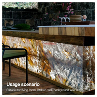 PERFECT - Lámpara LED Ultrafina de Alta Calidad, Cuatro Colores Ajustables, 500*250, Cortable, 98 LED/hoja, Alto Brillo, IP20, Garantía de 5 Años