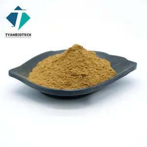 Hot Sale Black Ant Extract Black Ant Powder Best Price