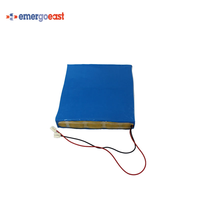 Batterie au lithium-ion LiFePO4 LFP 24V 30Ah pour système solaire, éclairage extérieur, caméra de sécurité, outils électriques