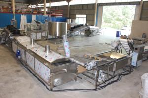 Ligne de production automatique de frites et de chips de pommes de terre - Prix - Product Image 4
