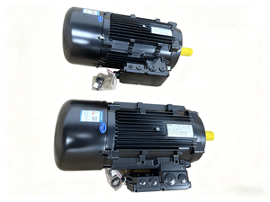 มอเตอร์อุตสาหกรรมแบบอะซิงโครนัสสามเฟส รุ่นดั้งเดิม M550-P132/L4 M55BP132L045E0RCC - Product Image 1
