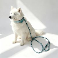 Ensemble de colliers et de laisses pour chien en paracorde tressé, doublure rembourrée, perles métalliques, boucle en cuir, fermeture à sécurité, personnalisable pour tous les chiens
