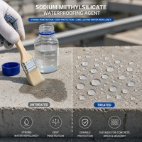 Agent d'étanchéité au méthylsilicate de sodium pour béton et mortier, scellant silicaté à pénétration profonde, certifié ISO, directement de l'usine