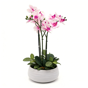 <span class=keywords><strong>Arthome</strong></span> Orchidée Artificielle 3 Tiges avec Pot 40.6x40.6x53.3 Cm - Céramique Faite à la Main Imperméable Moderne Rose - Product Image 4