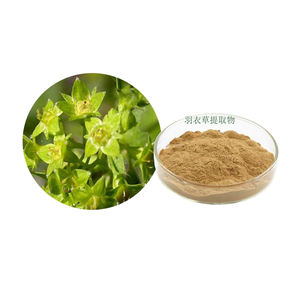 관상용 잔디 추출물 레이디스 맨틀 추출물 알케밀라 불가리스 추출물 분말 10:1 - Product Image 1