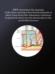 DEP-2S 皮肤系统电穿孔机，用于除皱和皮肤再生 - Product Image 4