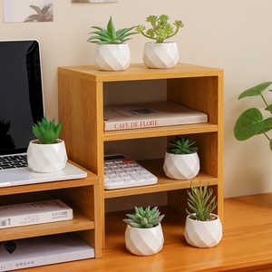 Plantas suculentas artificiales <span class=keywords><strong>de</strong></span> oficina Mini decoración verde en maceta para estación <span class=keywords><strong>de</strong></span> trabajo Decoración interior <span class=keywords><strong>de</strong></span> escritorio Plantas <span class=keywords><strong>de</strong></span> imitación <span class=keywords><strong>de</strong></span> estilo Ins. - Product Image 2