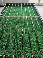 Op maat gemaakte druppelirrigatieband 16mm 20mm, op maat gemaakte dikte, landbouw druppellijn voor moestuin