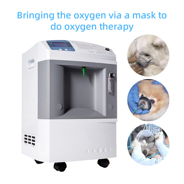 IN-10L vet Portable Medical Hospital Home Use Veterinary Equipments 5 Liter Oxygene Concentrator