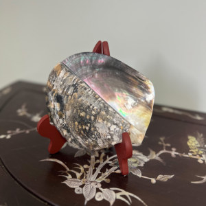 Tahiti Black <span class=keywords><strong>Lip</strong></span> Shell Nacre Traitée <span class=keywords><strong>Montre</strong></span> Cadran Matières Premières Incrusté Bijoux Matériaux - Product Image 1