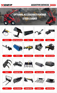 Woer gratis pengiriman merek baru CE/EPA bersertifikasi kecil Mini Skid Steer <span class=keywords><strong>Loader</strong></span> roda bensin Diesel harga - Product Image 3
