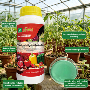 Fertilizante Líquido Foliar de Micronutrientes Calcio Magnesio Ca Mg B Zn Fe Mn Mo para la Firmeza de la Fruta y la Resistencia al Estrés - Product Image 1