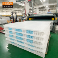 Meilleure qualité personnalisée mini taille tissu non tissé poche ressort unité zone lit matelas 2.5mm fil d'acier diamètre OEM ODM enroulé