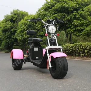New design 1000W 2000w 60v citycoco tricycle trike fat tire 3 wheel scooter electric mobility with golf bag holder basket